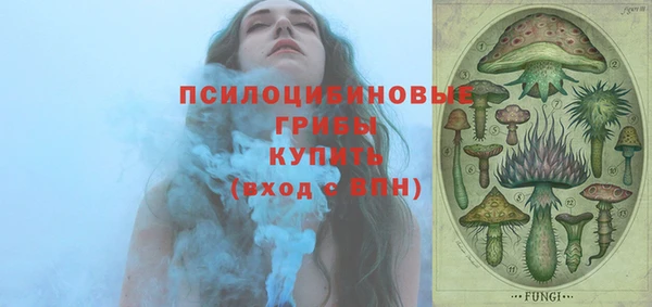 синтетический гашиш Новозыбков