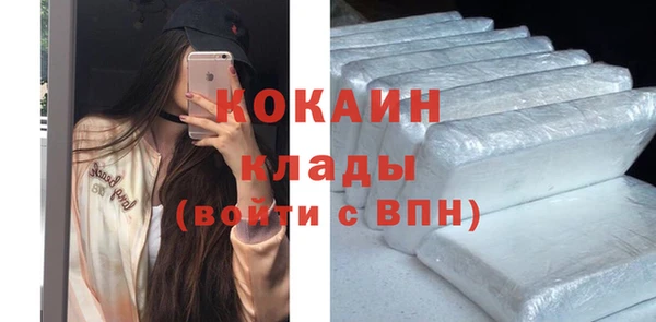 мяу мяу мука Няндома
