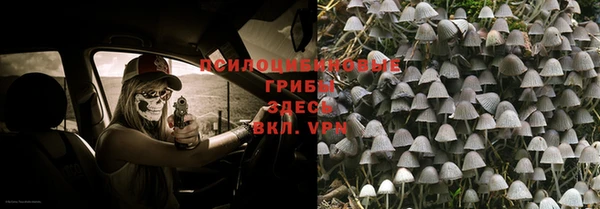 мяу мяу мука Няндома